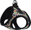 Bark Appeal Skull Multi Step-in Dog Harness for Extra Small Sized Pets – Updated Sizing, Re-Measuring is Essential – Soft Vest Harness – Anti-Choke with Adjustable Strap & Heavy Duty Clip – XXS