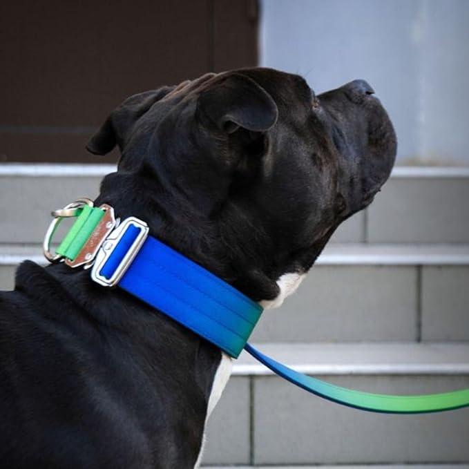 Spark Paws Tactical Dog Collar - Heavy Duty, Premium Quality, Thick and Durable for Large and Medium Dogs - Lime Wave - M