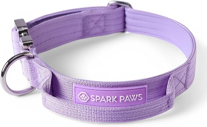 Spark Paws Tactical Dog Collar - Heavy Duty, Premium Quality, Thick and Durable for Large and Medium Dogs - Purple - XS - 1"
