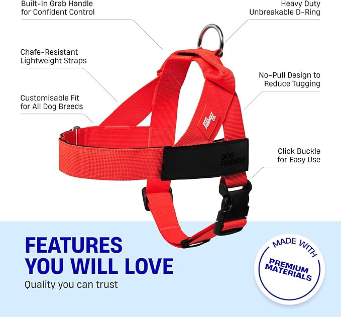 DF Co. Dog Harness | Chafe Resistant Webbing, Adjustable Neck & Chest, and Heavy Duty D-Ring | Sturdy, Comfortable, Easy to Use | Red, Size S