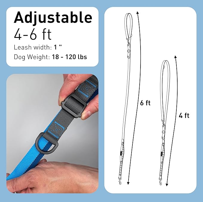 Hands Free Dog Leash - Waist Leash for Walking and Hiking with Medium and Large Dogs, Adjustable 4 to 6 FT Bungee Lead with Traffic Handle by Nuvuq (18-120 lbs, Blue)