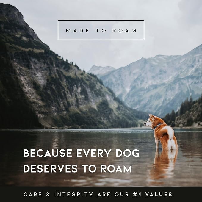 MADE TO ROAM Premium Explorer Leash - Climbing Rope Leash with Autolocking Aviation Aluminum Carabiner - Virginia Mountains, 6ft