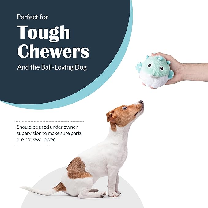 Flourish Pets 2 in 1 Multi-Layer Chew Toy for Active Dogs | Non-Toxic BPA Free Double Stitched Soft Fabric Exterior Dog Toys | Long-Lasting Dog Plush Toys - Prickles Small Pack (4″)