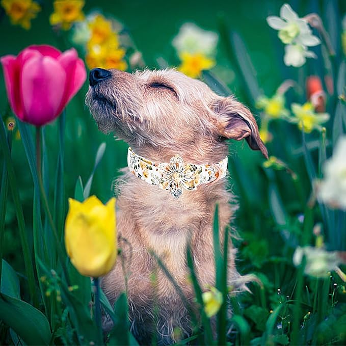 Elegant little tail Dog Collar, Floral Print Spring Pet Collars with Flower Pet Gift Girl Flower Collar Female Adjustable Dog Collars for Large Dogs