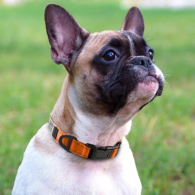 Joytale Personalized Dog Collars with Engraved Name Plate, Silent No Jingle Custom Nylon Collar with Fixed ID Tag, Reflective Soft Neoprene Padded Breathable for Puppy and XSmall Dogs, Orange