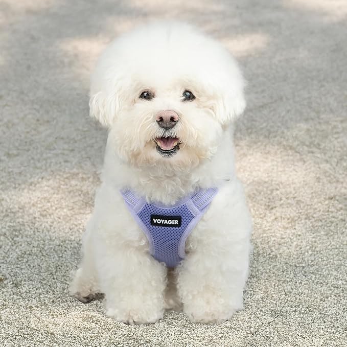 Best Pet Supplies Voyager Adjustable Step-in Flex Breathable Mesh Dog Harness for Small Medium Large Dogs (Lavender), XL