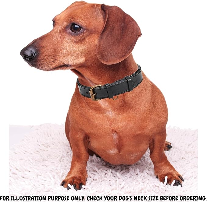 Real Leather Dog Collar Padded Soft Interiors with Premium Vintage Look Handcrafted Heavy Duty with Tag Ring for Small Medium and Large Pets (Medium (1.25" Wide for 13.5" - 17.5" Neck), Black)