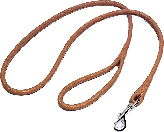 OOPSDOGGY Rolled Leather Dog Lead 6ft Heavy Duty Training Leash for Small Medium Large Dogs & Puppy Black Brown Red (Beige, Large)