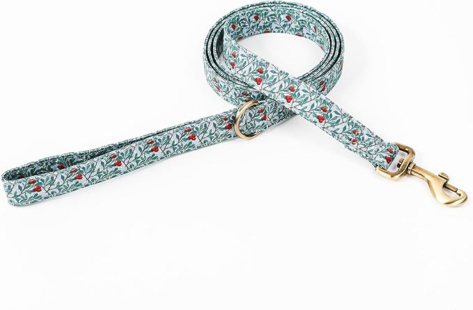 Organic Cotton Dog Leash for Small,Medium and Large Breed,Brass Hardware Pet Leash for Walking,Running and Training 6FT