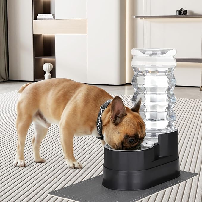 RIZZARI Large Water Dispenser for Dogs: 8L Raised Black Auto-Refill Stainless Steel Waterer - Easy Cleaning - Leak-Resistant - for Senior Dogs with Joint Spine Pain - Garage Garden Use