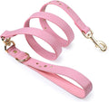 Blueberry Pet Premium Embossed Pink Glam Microfiber Leather Dog Leash with Gold Studs