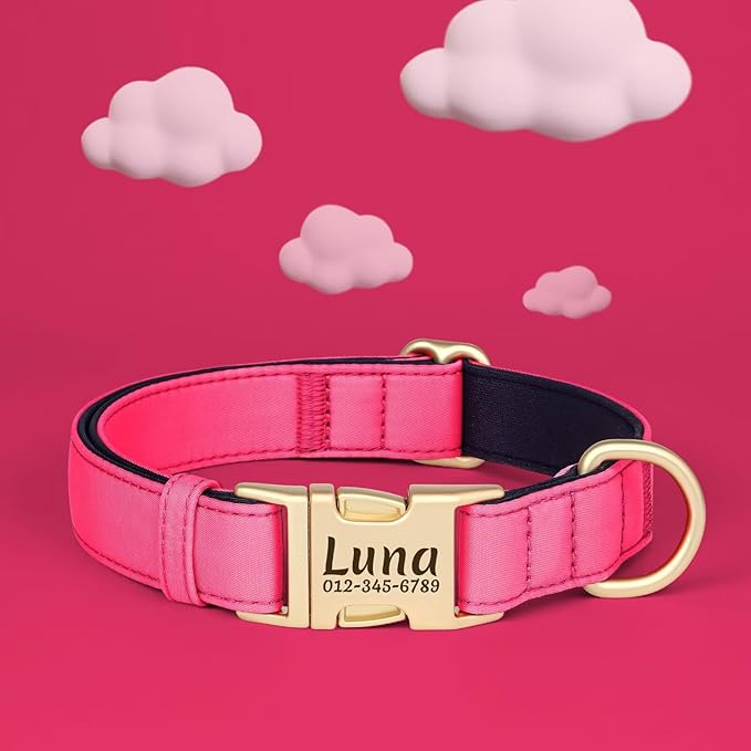 PET ARTIST Personalized Dog Collars, Colorful Pink Custom Dog Collar with Silent Engraved ID Tag, Lightweight Breathable Nylon & Soft Padded, Matching Leash & Poop Bag for Large Dogs,L Fit 15-23"