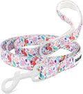 5 FT Stylish Dog Leash, Soft Dog Leashes with Comfortable Padded Handle, Metal Carabiner Clip, Strong No Pull Pet Leash for Small Medium Dogs for Walking, Shopping and Running