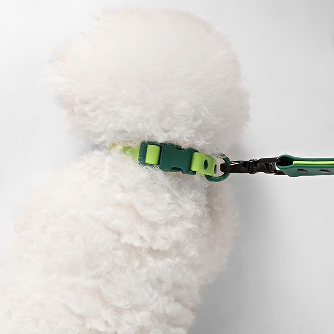 WLK1004B-5SET Luna Small 8FT Adjustable 6-in-1 Waterproof Hands-Free Leash and Collar with LED Flashlight, Bag Dispenser, and Poop Bag Holder, Mojito