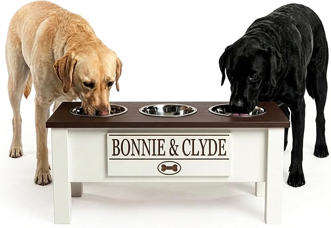 GTW Personalized Elevated Triple Dog Bowl Stand for Large, Medium, Small, X-Small Dogs - 3 Stainless Steel Food and Water Bowls - Raised Dog Dish with Internal Storage (Large, Brown)