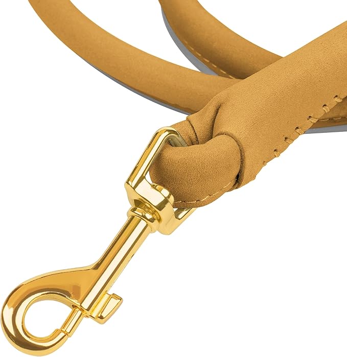 OOPSDOGGY Reflective Rolled Leather Dog Leash 6ft - Soft Training Lead for Small Medium Large Dogs Puppy - Heavy Duty Rope Puppies Leashes for Outdoor Walking Running (Camel, Small)