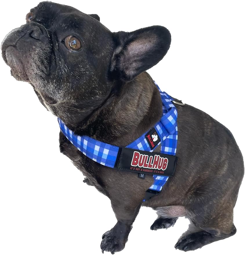 BULLHUG Adjustable Dog Harness– No Pull, No Choke – for English Bulldogs, French Bulldogs, Pugs & Broad-Chested Breeds – Easy, Safe Walks (BLUEWHITE, Medium)