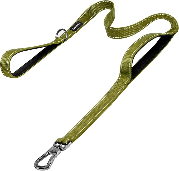 PetiFine 5FT Heavy Duty Dog Leash with Soft Padded Double Handle, Durable Strong Clasp Dog Leashes, Reflective Nylon Walking Lead for Large,Medium,Small Breed Dogs, Green