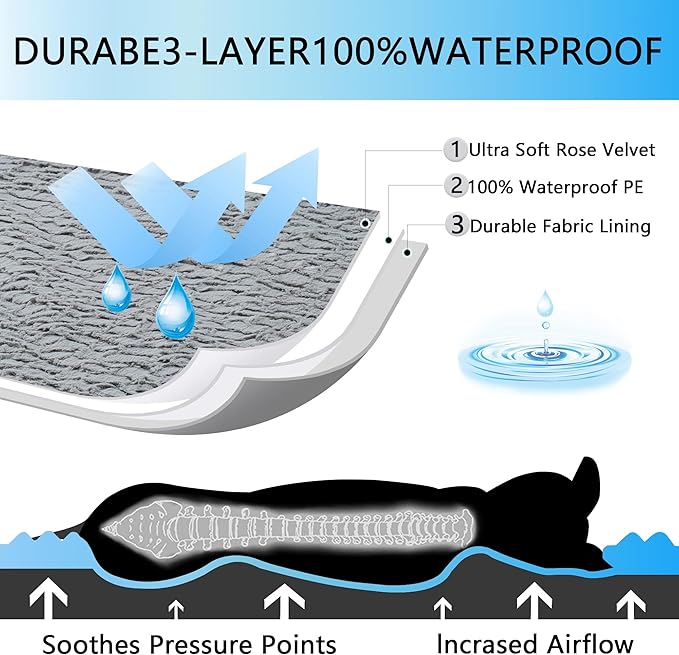 Orthopedic Dog Bed for Large Dogs - Egg Foam Sofa Bed with Waterproof Lining, Removable Washable Cover, Nonskid Bottom - XL 42x30x7.5Inch, Grey