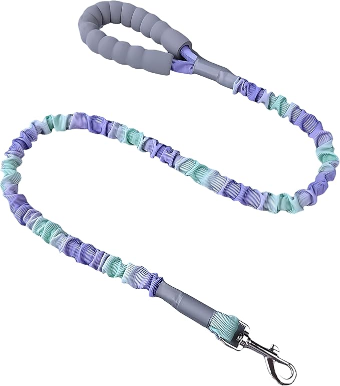 Ombré Shock-Absorbing Dog Leash with Padded Handle, Heavy Duty Bungee Leash for Large Dogs, 1.2–1.7 m(4–5.5 ft) (Violet-Green Ombré)
