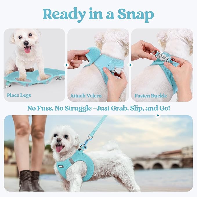 rabbitgoo Dog Harness Small Medium Sized and Leash Set, Step in Soft Light Puppy Vest, Breathable Mesh Pet Harness, Reflective for Safe Easy Walking, Mint Blue L
