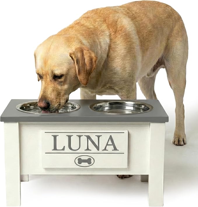 GTW Personalized Elevated Dog Bowl Stand for Large, Medium, Small, X-Small Dogs - Stainless Steel Food and Water Bowls - Raised Dog Dish with Internal Storage (Large, Grey)