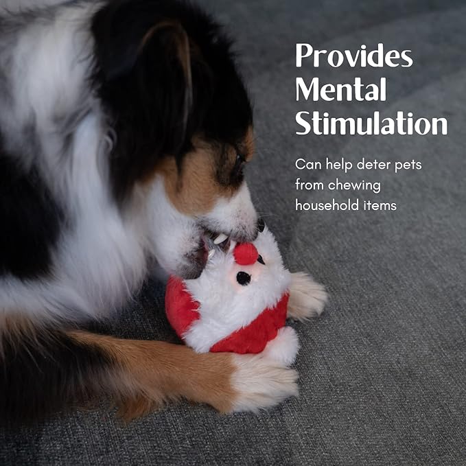 Flourish Pets 2 in 1 Christmas Multi-Layer Chew Toy for Active Dogs | Non-Toxic BPA Free Double Stitched Soft Fabric and Long-Lasting Dog Plush Toys (Santa 3.5")