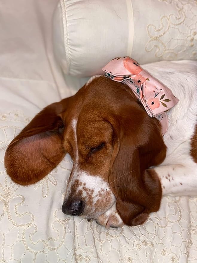 Elegant little tail Dog Collar with Bow, Comfotable Dog Bowtie, Bowtie Dog Collar Adjustable Dog Collars for Small Medium Large Dogs and Cats