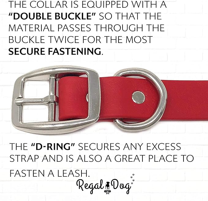 Regal Dog Products Medium Red Waterproof Dog Collars with Custom Engraved Name Plate | Vinyl Coated, Anti, Easy to Clean Personalized Biothane Dog Collar - Other Sizes for Small & Large Dogs