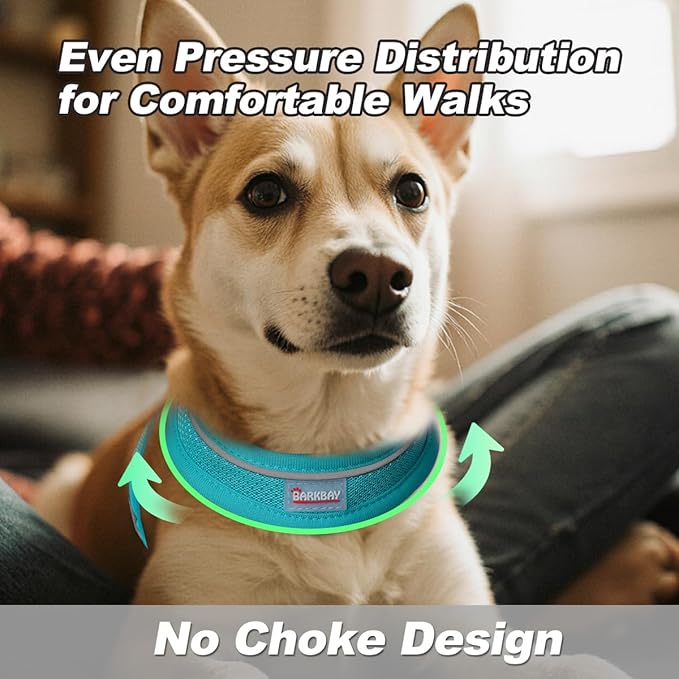 Dog Harness and Leash Set,Step in Small Sized Dog Harness,Soft Mesh,No-Chock,Reflective Adjustable,Secure with Hook & Loop Fastener,Puppy Vest for Small,Medium Dogs(Ocean Blue,XXXS)
