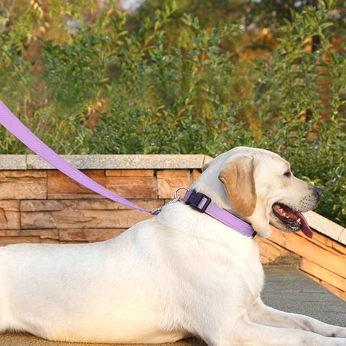 Reflective Dog Leash 6 FT Padded Handle Nylon Dogs Leashes for Small Dogs Lavender
