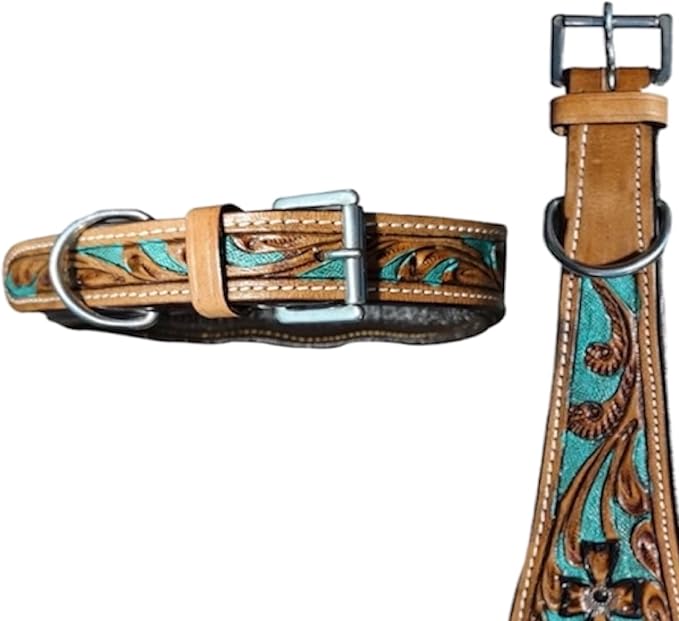 Majestic Ally Leather Dog Collar with Adjustable, Padded Fit for Walking, Hiking, and Running, Designer Western Wear for Puppies, Fancy Colors (Turquoise - Natural, Extra Large)