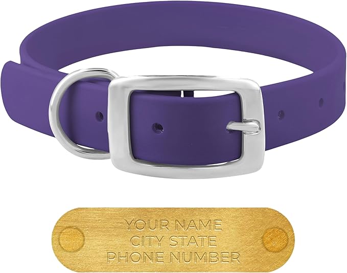 Regal Dog Products Small Purple Waterproof Dog Collars with Custom Engraved Name Plate | Vinyl Coated, Anti, Easy to Clean Personalized Biothane Dog Collar - Other Sizes for Medium & Large Dogs