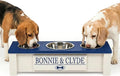 GTW Personalized Elevated Triple Dog Bowl Stand for Large, Medium, Small, X-Small Dogs - 3 Stainless Steel Food and Water Bowls - Raised Dog Dish with Internal Storage (Small, Blue)