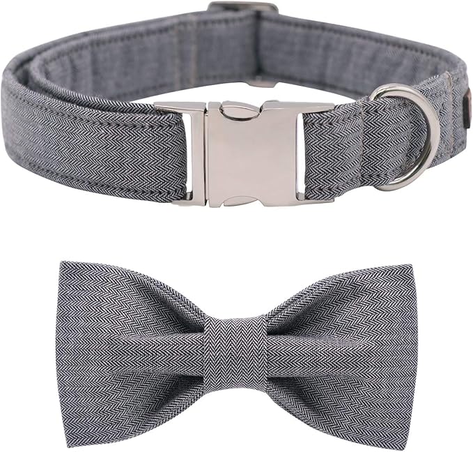 Lionet Paws Dog Collar with Bowtie, Durable Adjustable and Comfortable Collar for XX-Small Dogs and Cats, Neck 7-11in