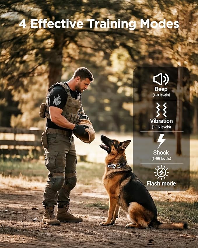 BLACKDOG Military Dog Shock Collar 2 Dogs (5-150lbs) - 4200ft Dog Training Collar with Remote, 4 Training Modes, Flashlight&Strobe, 90-Day Battery, IP67 Waterproof Dog E Collar for All Breeds (Beige)