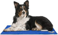 Arf Pets Pet Dog Self Cooling Mat Pad for Kennels, Crates and Beds 19 X 35