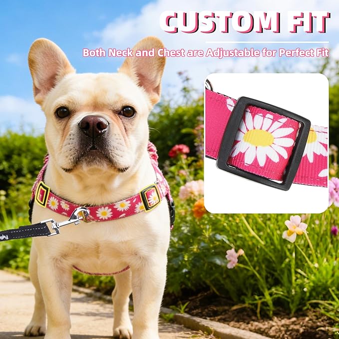 PUPTECK No Pull Dog Harness Small Sized Dog, Adjustable Reflective Pet Vest Harness with Bungee Handle, Escape Proof No Choke Harness for Small Dogs Walking Training, Fuschia Daisy M