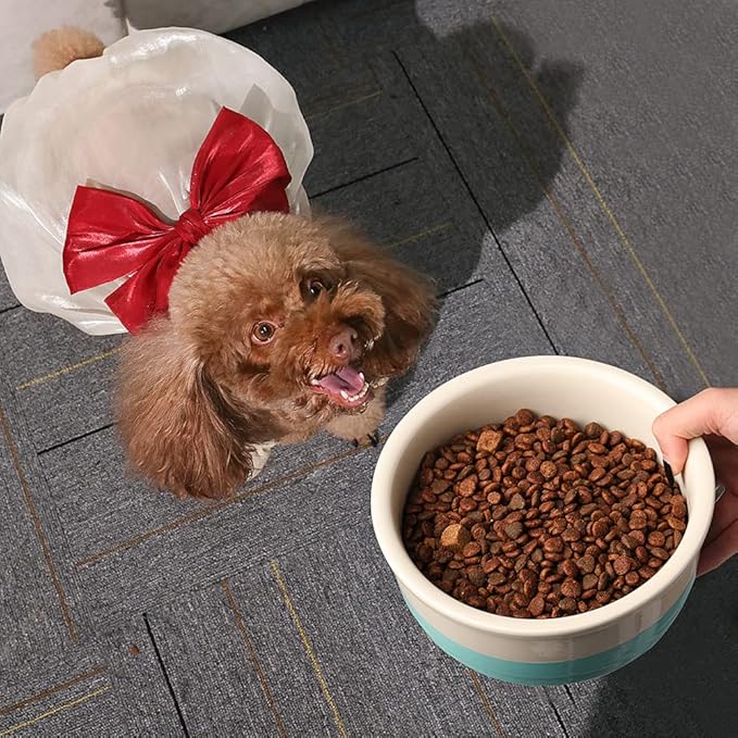 Sweejar Ceramic Dog Bowls, Dog Food Dish for Small Dogs and Cat, Heavy Duty Porcelain Pet Bowl for Canned Food and Water 17 Fl Oz（White）