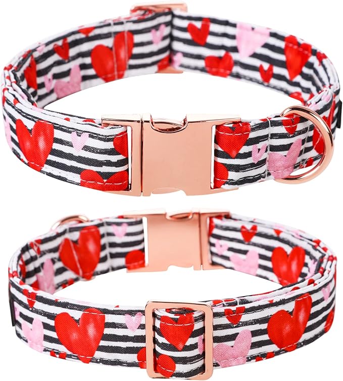 Lionet Paws Valentines Dog Collar with Flower, Dog Flower Collar with Metal Buckle for Dogs, Adjustable Comfortable Dogs Collars Girl, L, Neck 16-24 in
