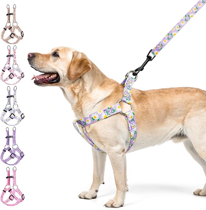 BEAUTYZOO No Pull Dog Harness and Leash Set - Adjustable Step-in Puppy Harness for Medium Large Dogs, Escape Proof Soft Nylon Vest with Double D Ring for Walking Running Training, Purple L