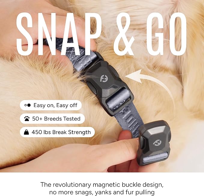 2026 New Edition, Fei & Eve MagEase Dog Collar - Patented Magnetic Buckles | Fur-Safe | Premium 210D Nylon | 450LB Escape-Proof | Adjustable Fit | Small (Twilight Gray)