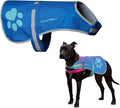 SafetyPUP XD Dog Reflective Vest – Hi-Vis Fluorescent Visibility That Helps to Safeguard Your Pet On/Off Leash in Urban & Rural Areas (Blue, Small)