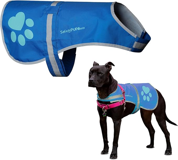 SafetyPUP XD Dog Reflective Vest – Hi-Vis Fluorescent Visibility That Helps to Safeguard Your Pet On/Off Leash in Urban & Rural Areas (Blue, X-Small)