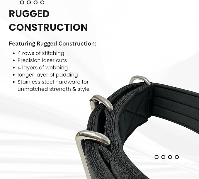 SparkDog Collars Working Dog Collar - 2" 4ply Padded Dog Collar Heavy Duty Stainless Steel Tactical Seatbelt Wide Buckle Collar (Black 2.0, 16-21" Large)