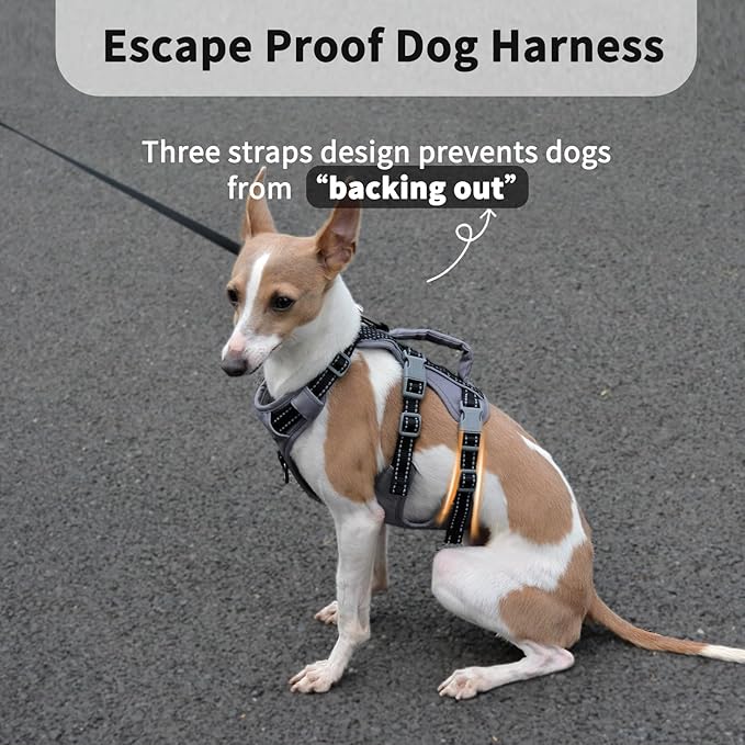 Huntboo Reflective Dog Harness with Handle, Escape Proof, No Slip, Breathable, Lightweight, Adjustable Lift Harness for Small, Medium, and Large Dogs Walking, Training, and Running Gear(Black,S)