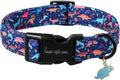 Unique style paws Dog Collar Plastic Buckle with Pendant Blue Dinosaur Park Puppy Collars for Small Medium Large Boys Girls Dogs