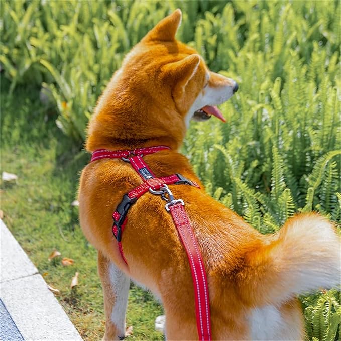EXCELLENT ELITE SPANKER No Pull Dog Harness Reflective Nylon Vest L-Shaped Adjustable Easy Pet Harness for Small Medium Large Breeds Dogs Walking Training Black Red(Red-M)