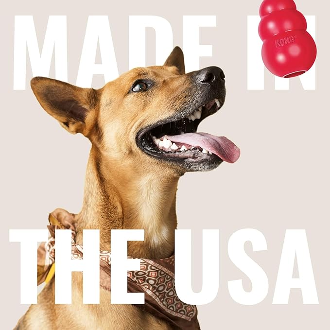 KONG Goodie Ribbon - Stuffable Natural Rubber Dog Toy - with Four Fillable Goodie Grippers for Enrichment Play - Bone-Shaped Chew Toy - for Small Dogs