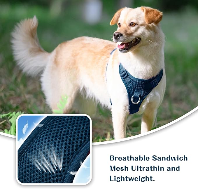 No Pull Dog Harness for Small Medium Large Dogs - Adjustable 2 Layer Mesh Dog Vest with Dual Clip, Escape Proof, Quick Release, Lightweight Breathable Mesh for Walking Hiking (Prussian Blue,L)